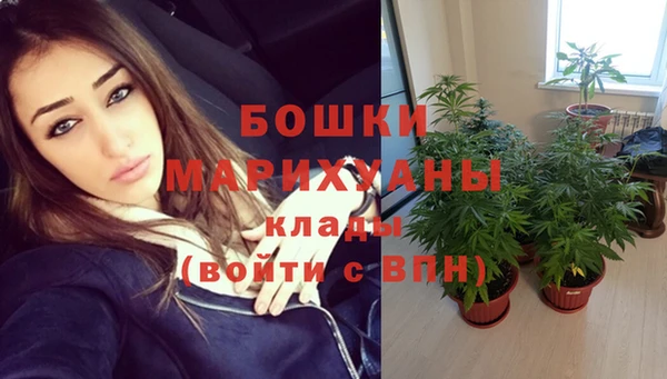 кокс Белокуриха