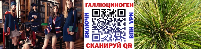 наркошоп мега зеркало Псилоцибиновые грибы Magic Shrooms Дмитровск